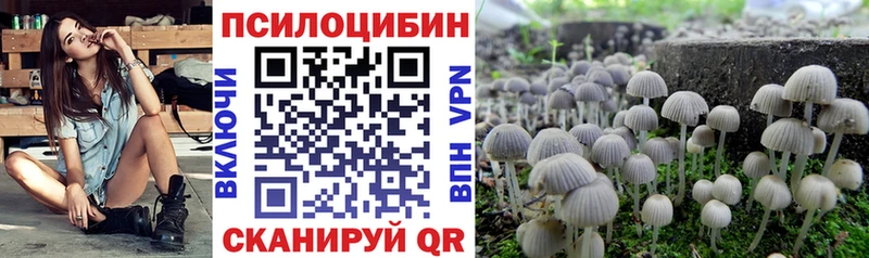 Галлюциногенные грибы Psilocybine cubensis  Купить  Тетюши 