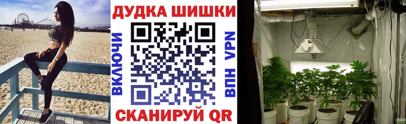 Марихуана THC 21%  Купить  Тетюши 